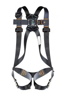 Eagle sele E1.1 NUS57 1 E eagle sele nus
